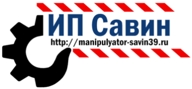 Лого Савин 004